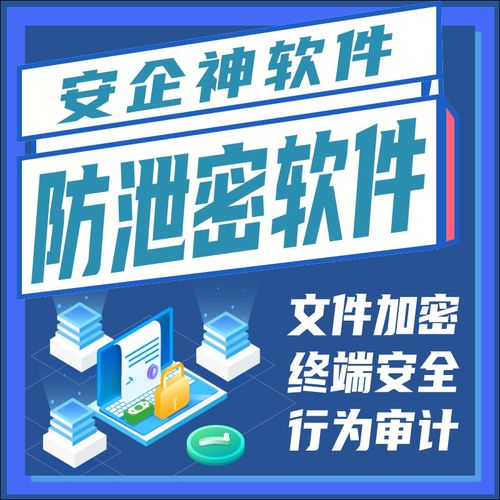 防数据泄密的计算机软件开发方案